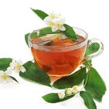 Camellia sinensis (Árvore do chá)