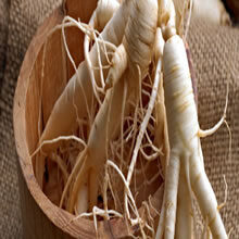 Ginseng